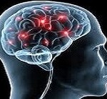 Neurociencia Cognitiva