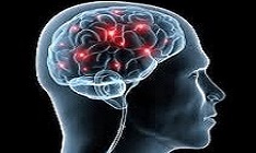 Neurociencia Cognitiva